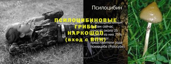 соль ск Белокуриха