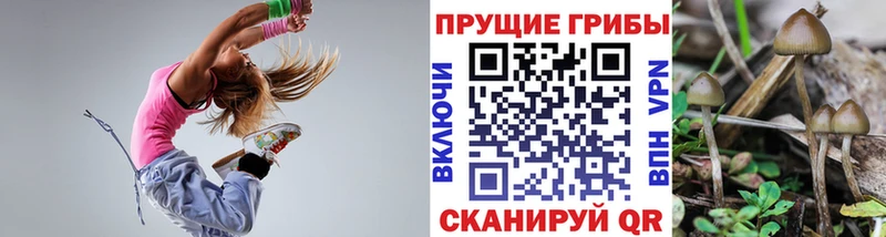 это Telegram  МЕГА сайт  Козьмодемьянск  Галлюциногенные грибы прущие грибы 